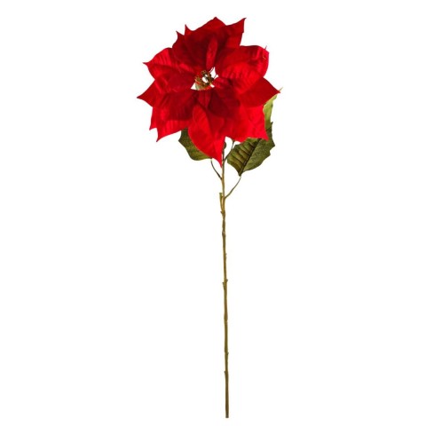 SINGLE GRAND POINSETTIA SPRAY
